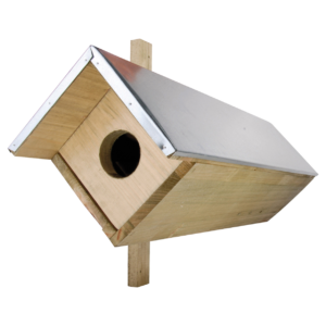 Little owl box