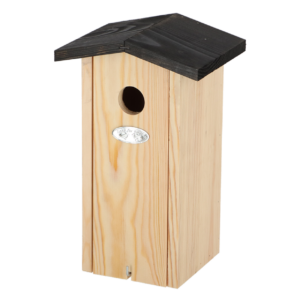 Great tit bird house