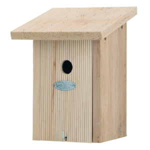 Blue tit bird house in gift box