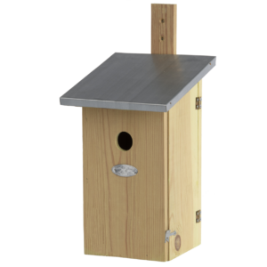 Nest box observation