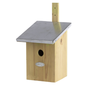 Nest box mirror