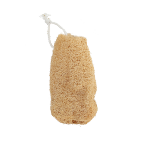 Luffa sponge