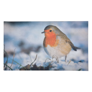 Doormat Robin