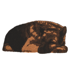 Coir doormat sleeping gard dog