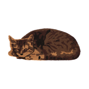 Doormat coir sleeping cat