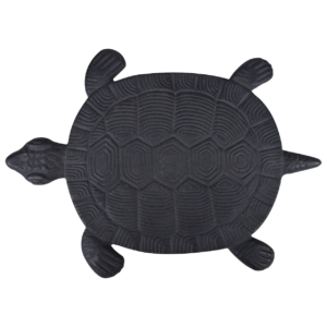 Stepping Stone turtle