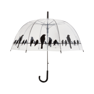 Umbrella transparent birds on wire