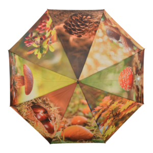 Umbrella autumn