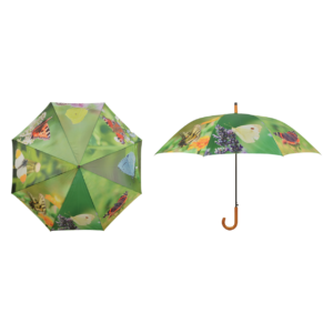 Umbrella butterflies