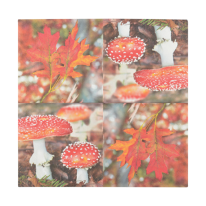 Paper napkins toadstool/leaves