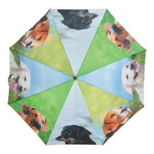 Umbrella dogs