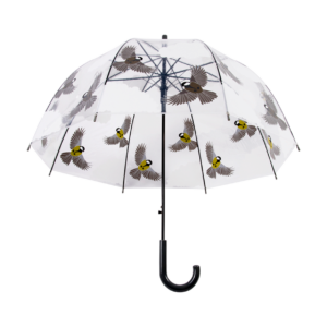 Transparent umbrella 2 sided birds