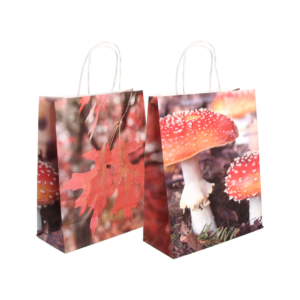 Paper bag toadstool/leaves S