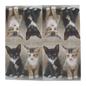 Paper napkins kittens 33x33cm