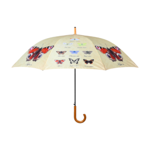 Umbrella butterflies