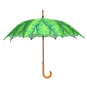 Umbrella banana leaves