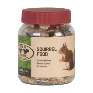 Squirrel peanut butter