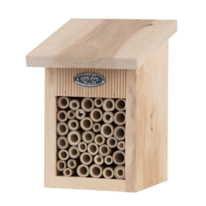 Bee house in gift box