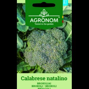 BROCCOLI CALABRESE NATALINO